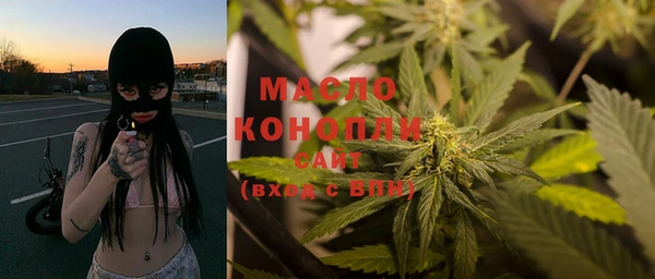индика Зеленокумск