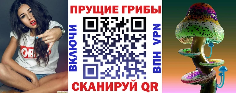 Галлюциногенные грибы GOLDEN TEACHER Горнозаводск